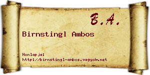 Birnstingl Ambos névjegykártya